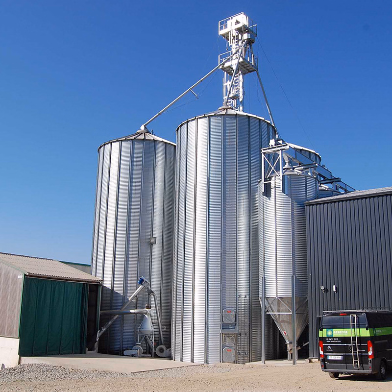 Feed Machinery with Advanced Technology for Improving Feed Quality and Nutrition