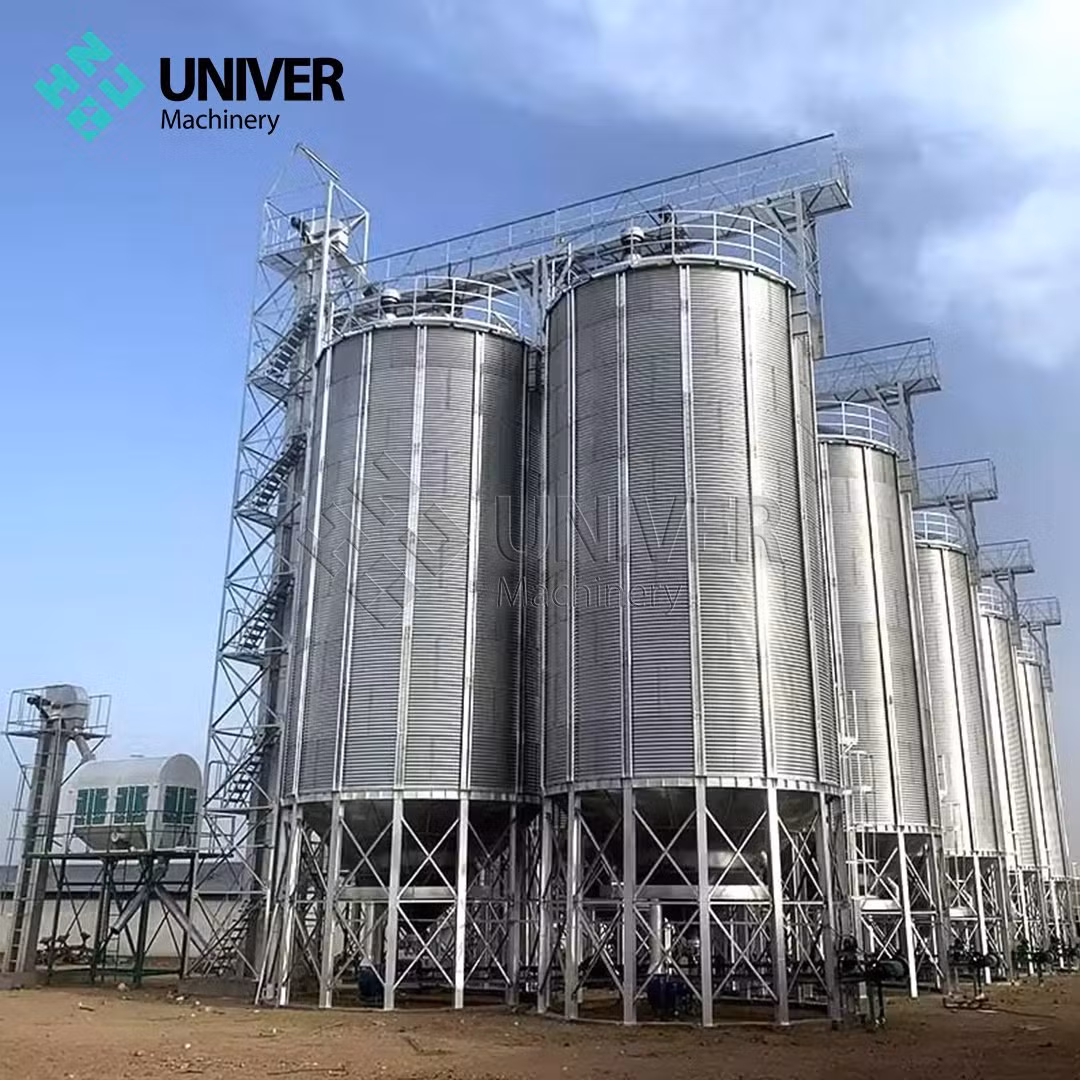 Galvanized Steel Grain Silo for Efficient Pig and Chicken Farm Storage