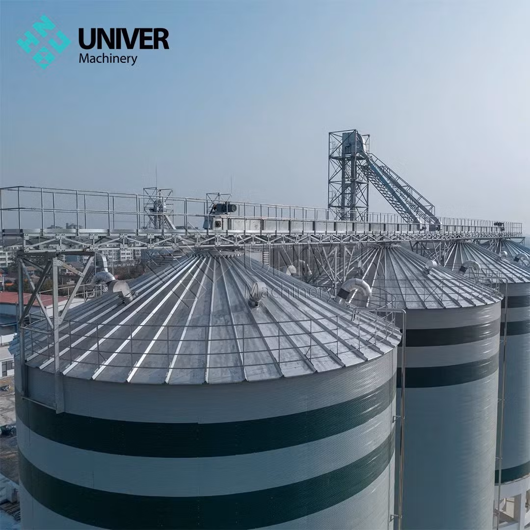 Durable Grain Storage Solutions: Flat Bottom Silos for Soybeans
