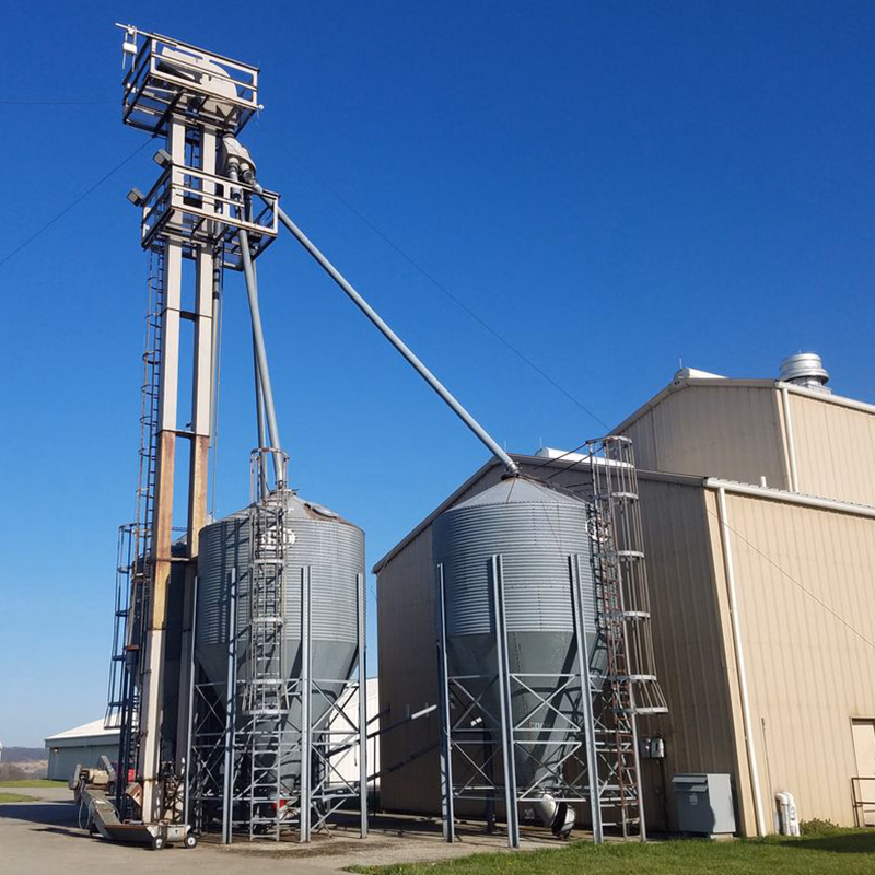 20 Tph Broiler Feed Plant Advanced Animal Feed Production Line