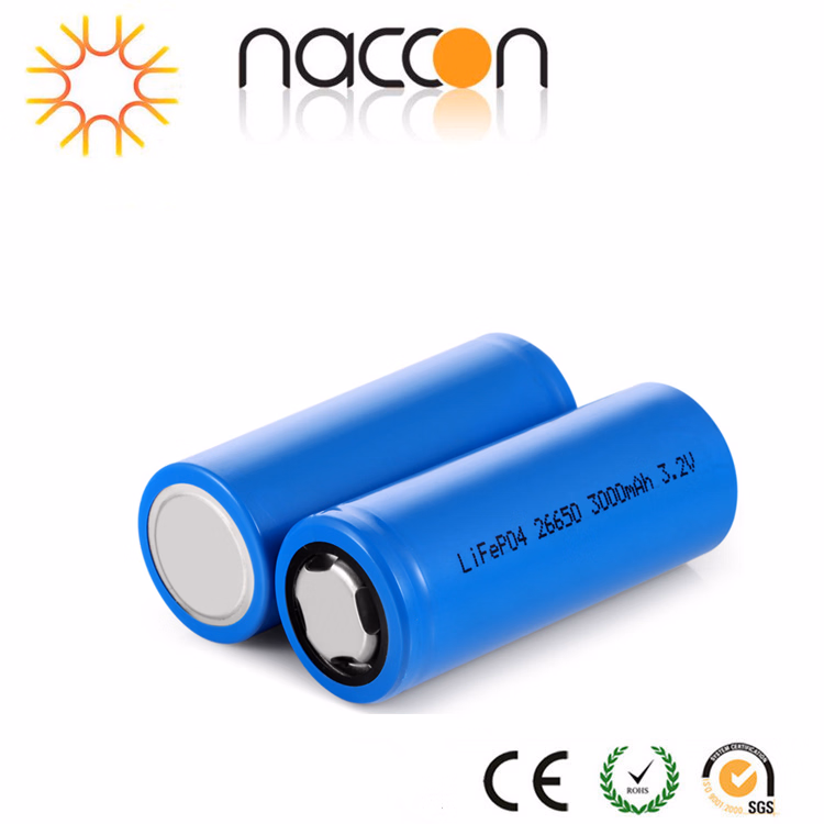 Rechargeable High Capacity Lithium Ion Li. FePO4 Battery V 3000m. Ah
