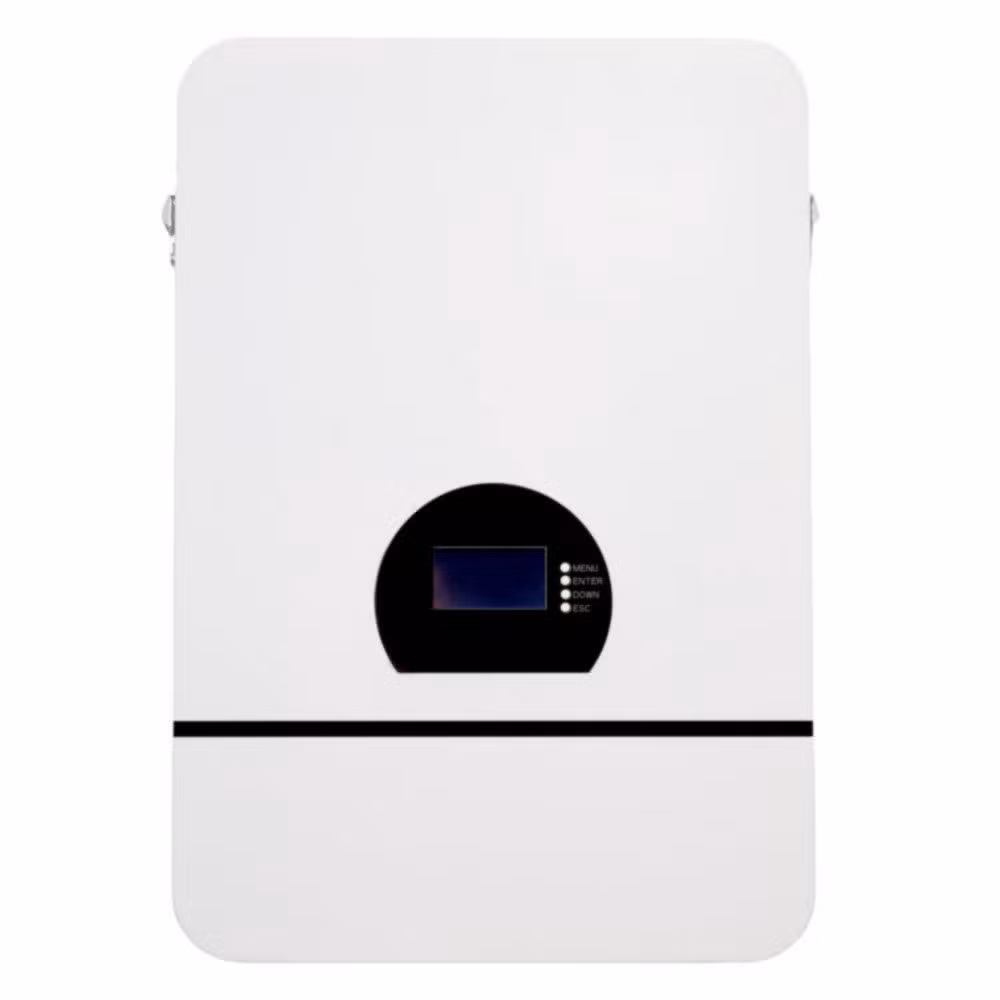 Powerful Drive Professional Wall-Mounted Li. FePO4 Home Storage Battery for Emergency Backup Power
