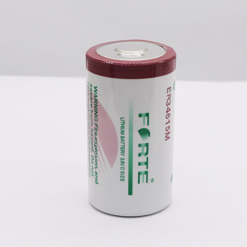 High Power Lithium Battery ER34615M