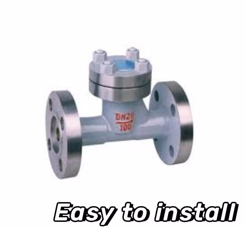 CE Pneumatic/Large Diameter/ANSI/CF8 /Hard Seal /Flange Forged Steel Lift Check Valve/ Ball/ Control /Safety/ Globe/ Butterfly Valve
