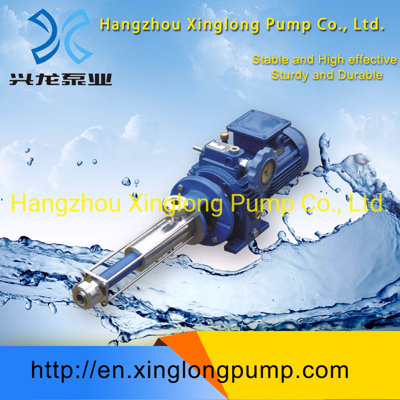 Xinglong Micro Metering Single Screw Pump for Polymer Dosing