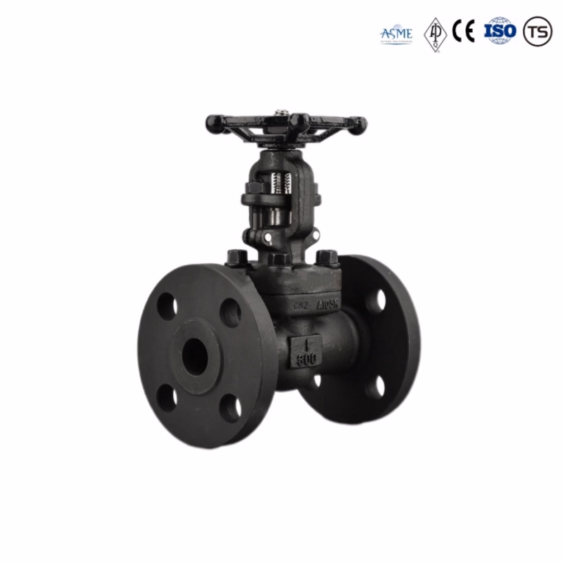 OEM ODM High Pressure Forged Steel JIS 10K 1.6-6.4MP Wcb Flange Manual Gate Valve