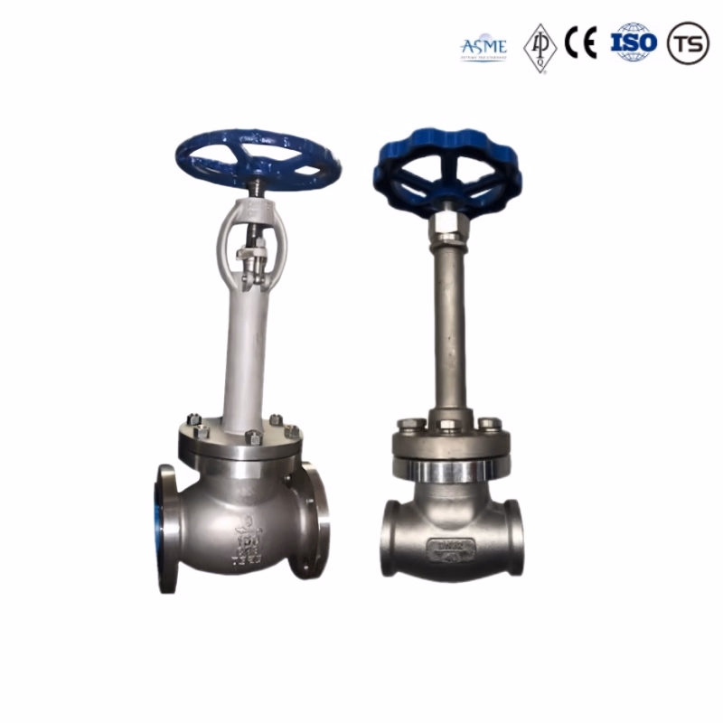 Stainless Steel Low Temperature and Low Pressure Globe Valve Cast Steel Globe Valve