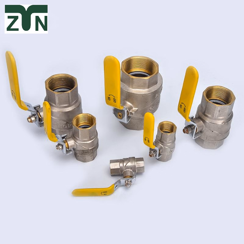 Ztn Brand Sample Order Household Usage Valve with Excellent Quality