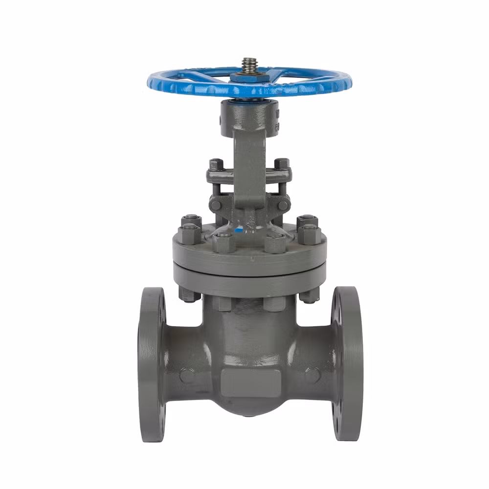 Industrial High-Temperature Wcb Double Parallel Gate Flanged Valve for Natural Gas Transportation