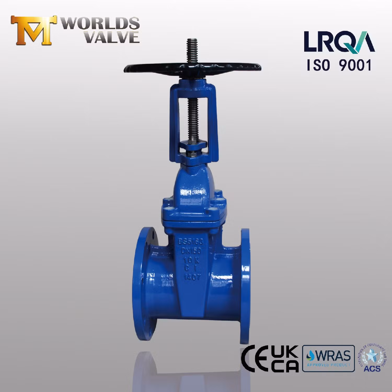 Sureflow Outside Screw and Yoke Rising Stem Gate Valve Solid Wedge for Above Ground Use