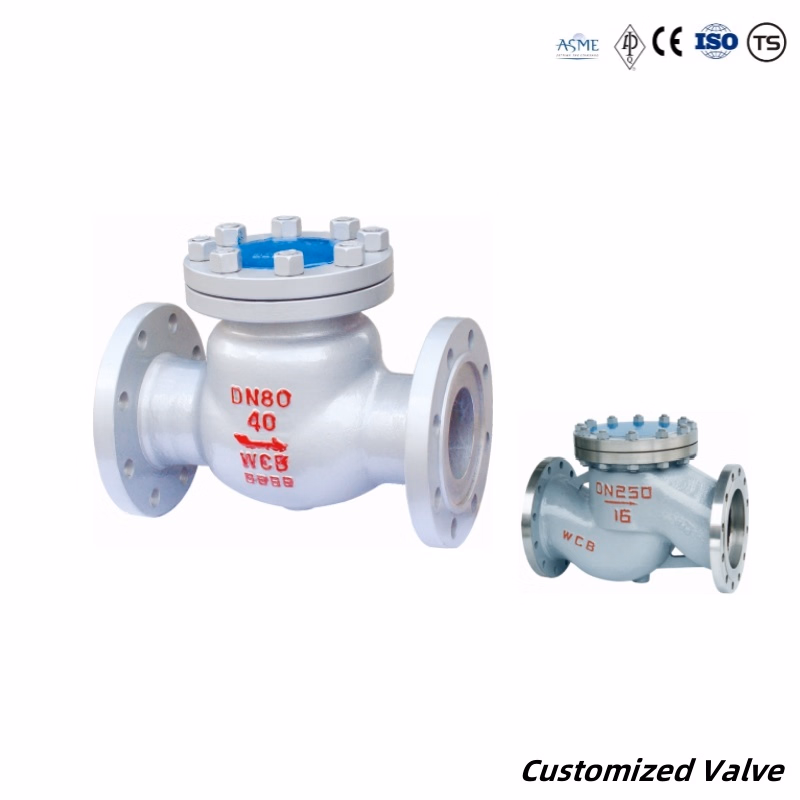 Stainless Steel ANSI 150lb Industrial Flanged Check Valve/Swing Check Valve/Non Return Valve