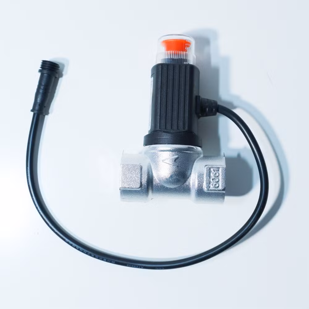 Leak Prevention Safety System with Household Electromagnetic Gas Valve
