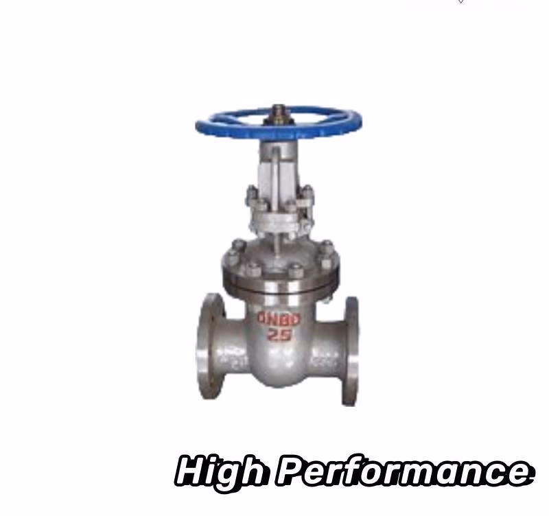 China Hot Sale /Soft Seal/Turbine Actuator/3/4''/3/8in/DN10/High Pressure/High Performance/Gas/Steam/DN20/ANSI Cast Steel Gate Valve