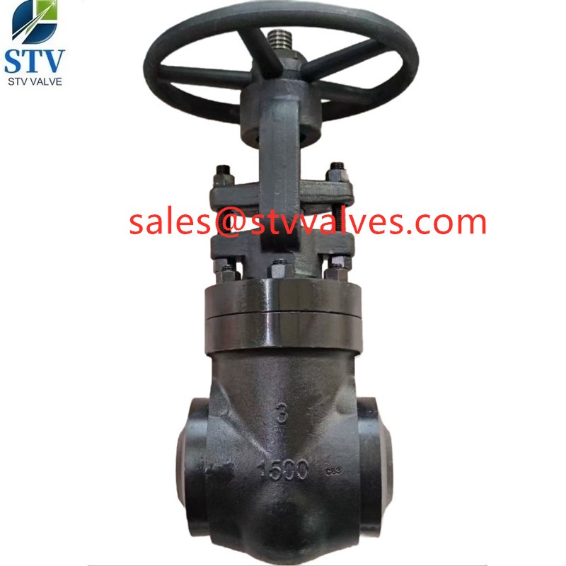 3 Inch Gate Valve - ASTM A105N 1500 LB Forged Steel
