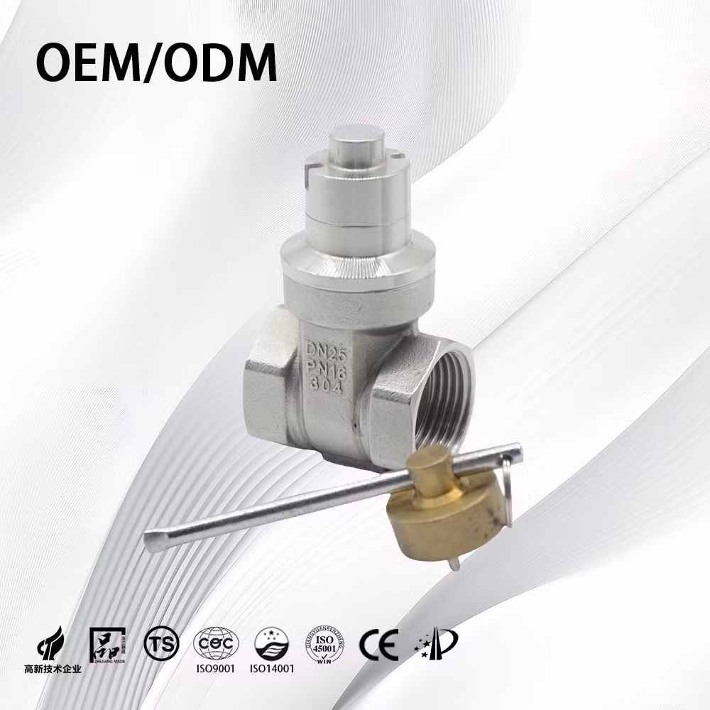 CF8/CF8m Industrial Non-Retention/Full Bore China Valve Threaded Magnetic Steel Gate Valves for Water/Oil