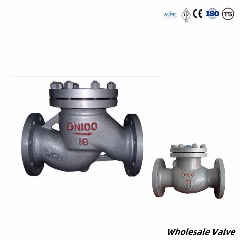 ASTM DN15 Pn300-Pn1500 Wcb/A105 Forged Steel Hltra-High Pressure Check Valve for Nuclear Power Plant