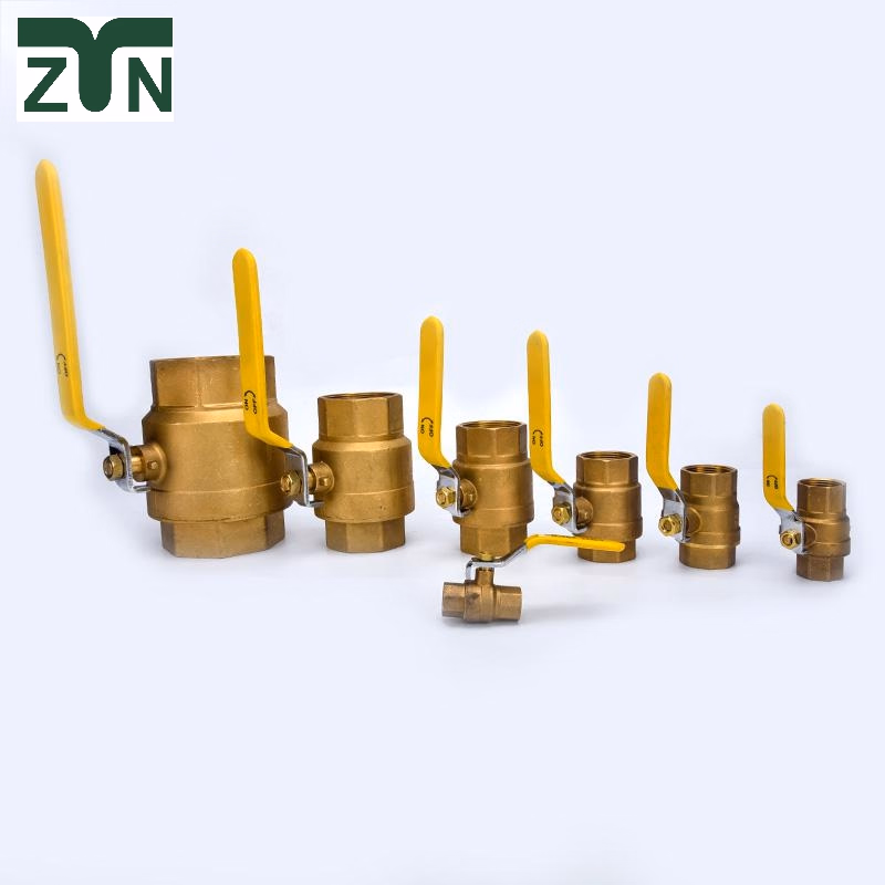 Sample Order 1/4 Inch-4 Inch Household Usage Fixed Ball Valve with Fast Delivery