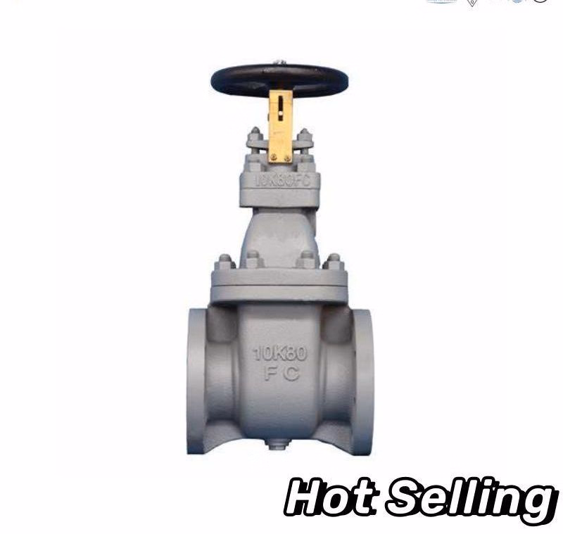 10K 80FC/DN600/Industrial/High Pressure/Large Diameter/High Performance/Hot Sale/Pneumatic Actuator/50mm ANSI Cast Steel Gate Valve