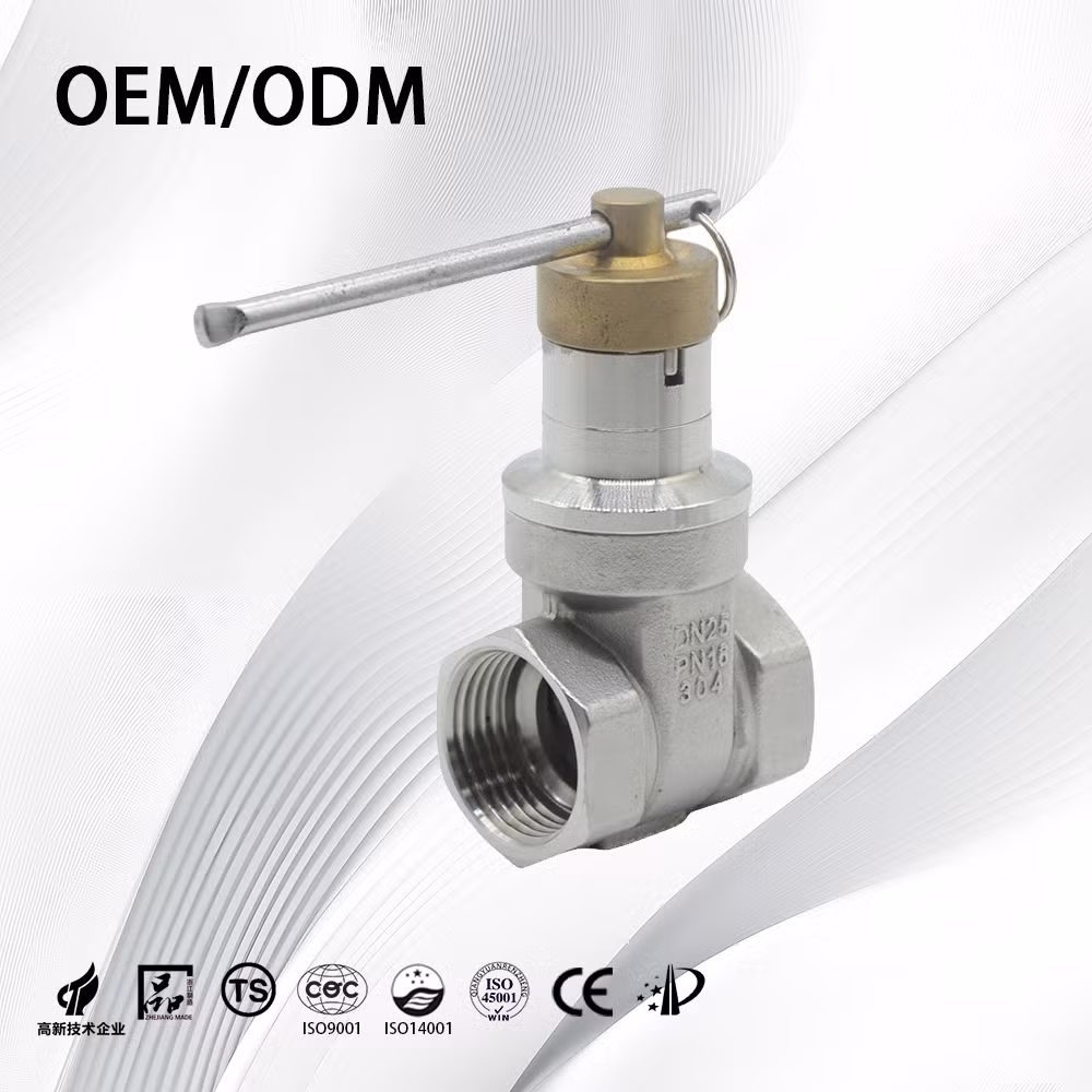 SS304/SS316L ANSI Full Bore Medium Threaded Magnetic Steel Gate Valves with Certificates