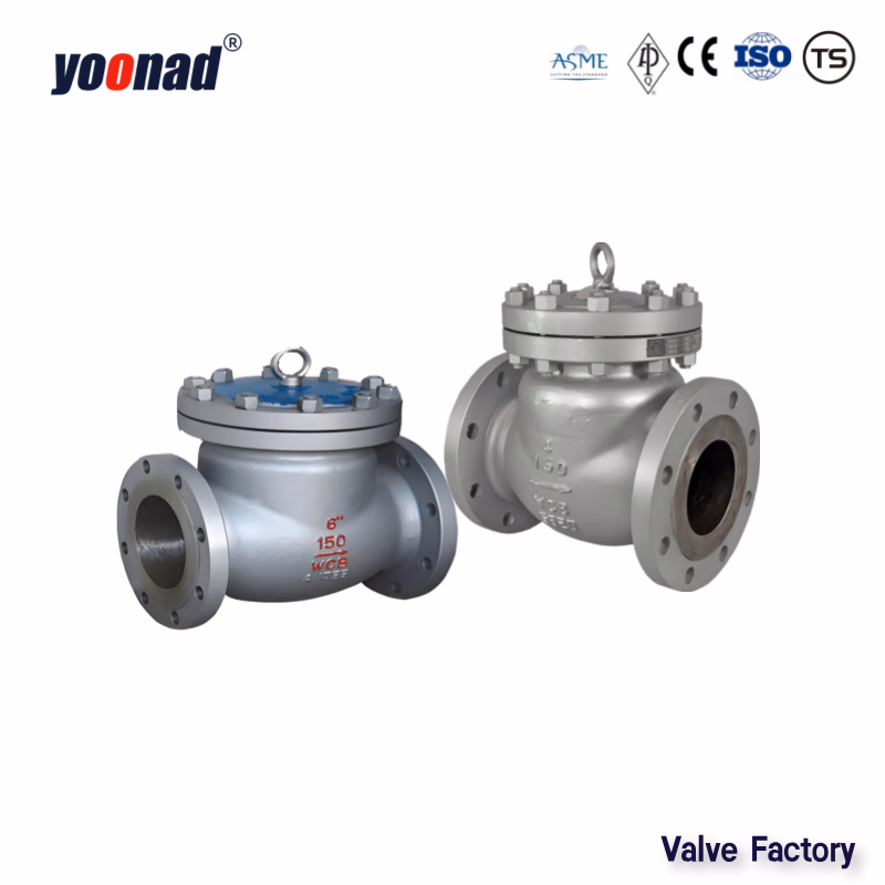ANSI ISO CE Stainless Steel Wcb Pn16 DN50 DN65 DN80 Low Temperature Neck Flange Check Valve