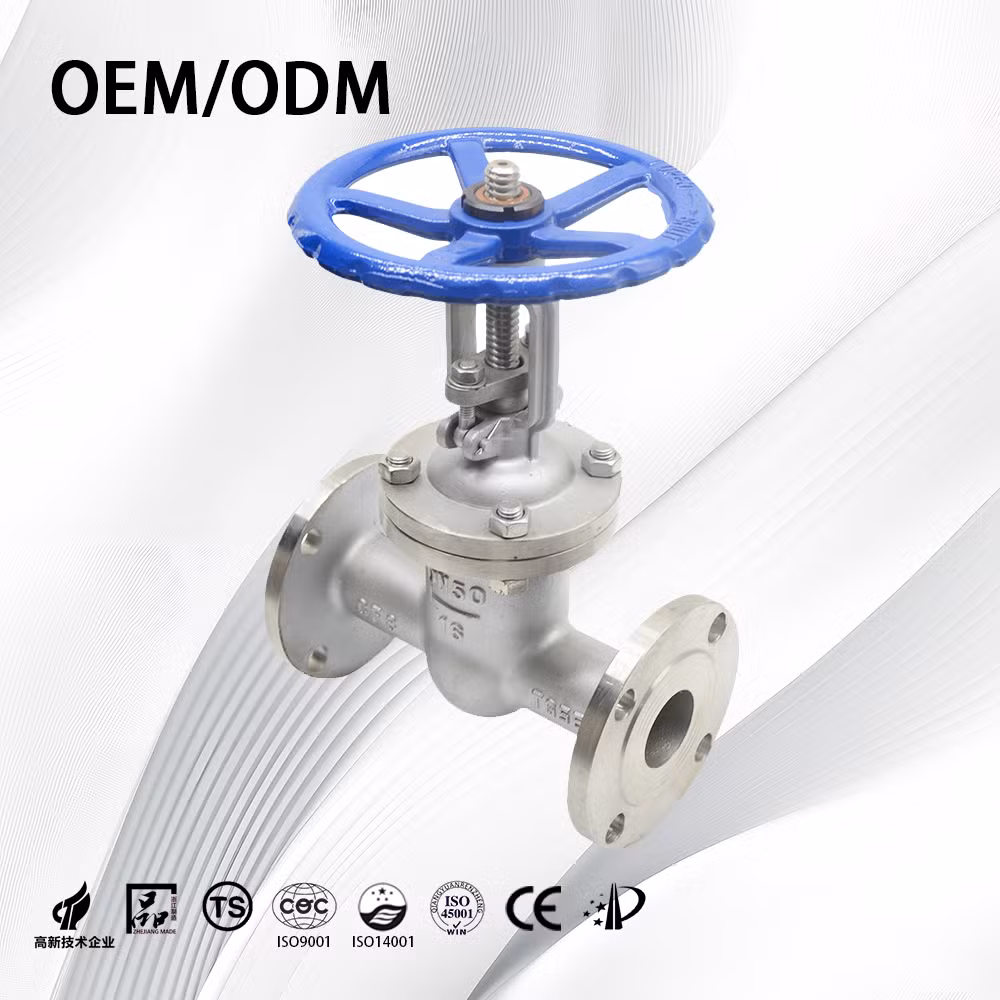 Stainless Steel Bolted Bonnet Corrosion Resistant Flange Gate Valve with All Size