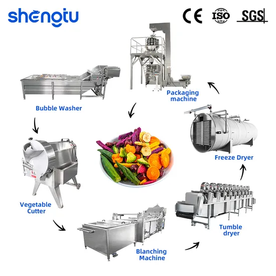 Industrial Automatic Fruit Vegetable Crisp Chips Production Line with Washing Cutting Blanching Free