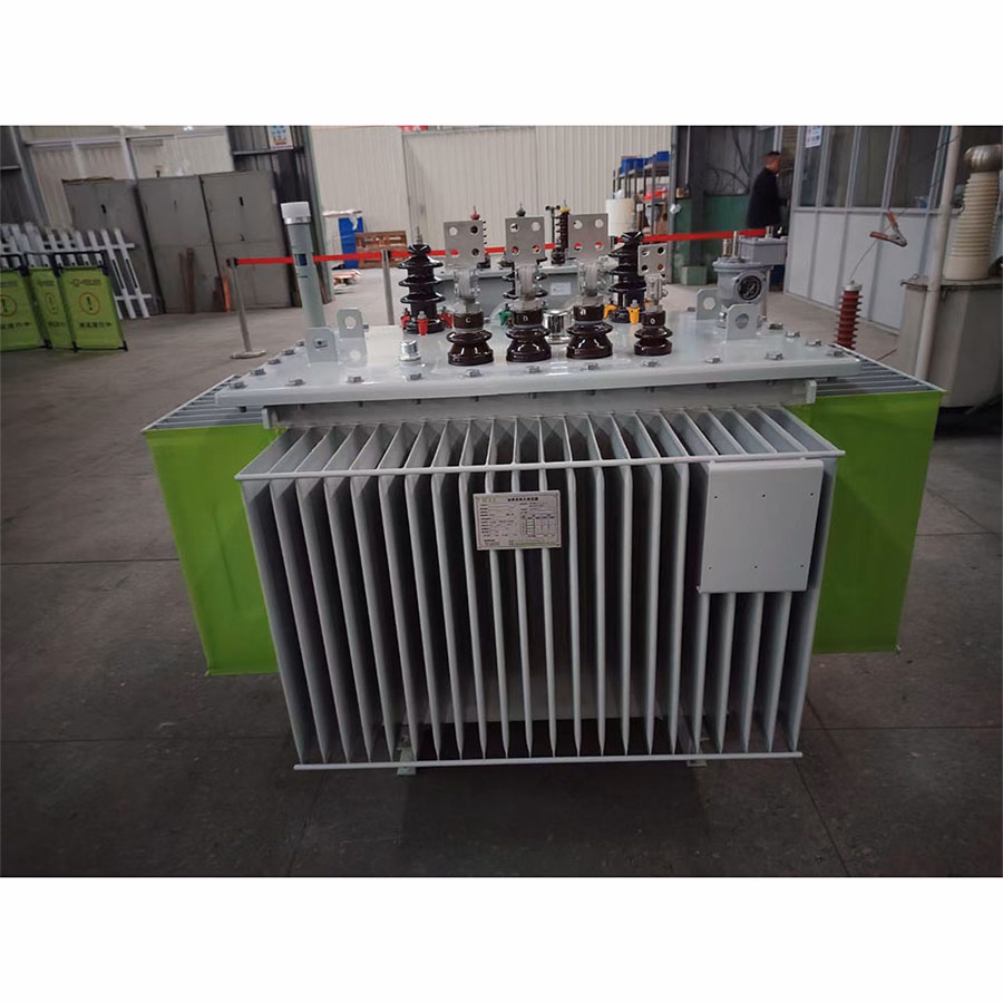 Professional Grade Oil Immersed Transformer for Power Plant Operations