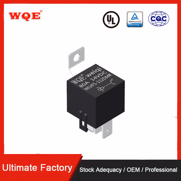 80A 14VDC 12VDC 24VDC 4pin 5pin Types of Automotive Relay with Metal Holder Wlvf5 Free Sample