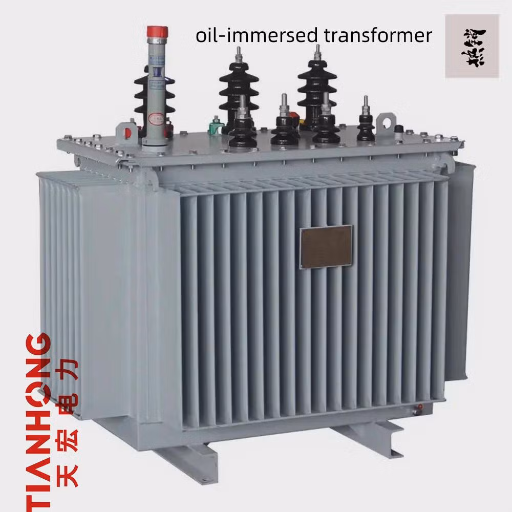 30kVA 10kv Oil Immersed Transformer
