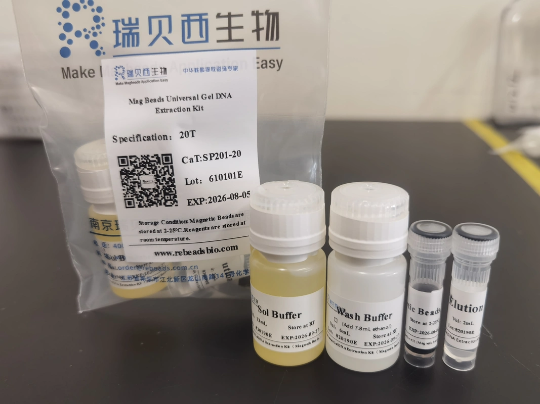 Mag Beads Universal Gel DNA Extraction Kit High Yields For PCR Templates