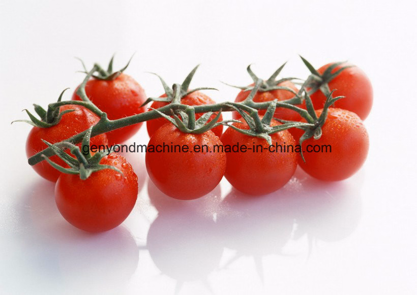 Tomato Sauce Paste Ketchup Production Line