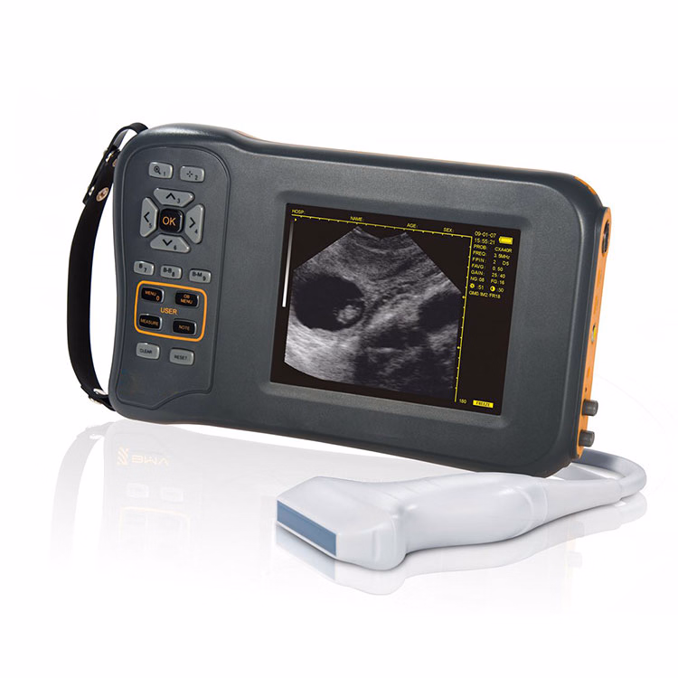 My-A015D Animal Ultrasound Machine Veterinary Medical Scanner Ultrasound with Vet Rectal Probe