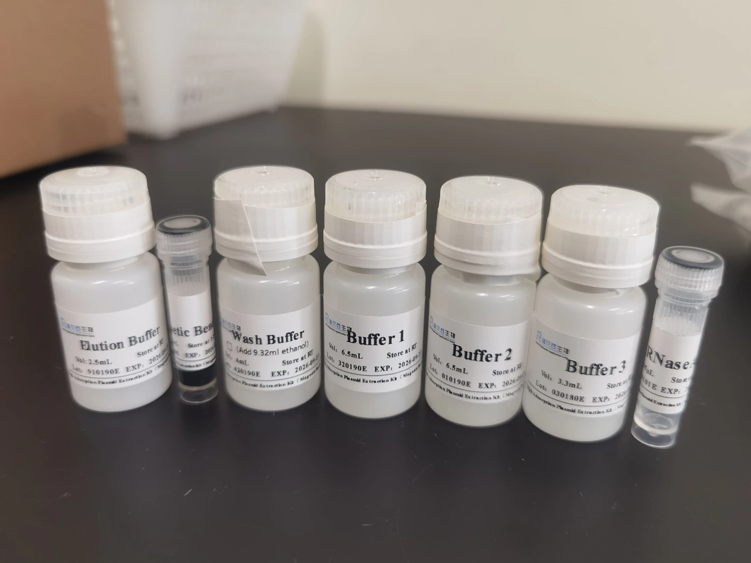 Mag Beads Big Volume Plasmid DNA Extraction Kit For Molecular Experiments
