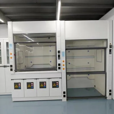 Walk-in fume hood
