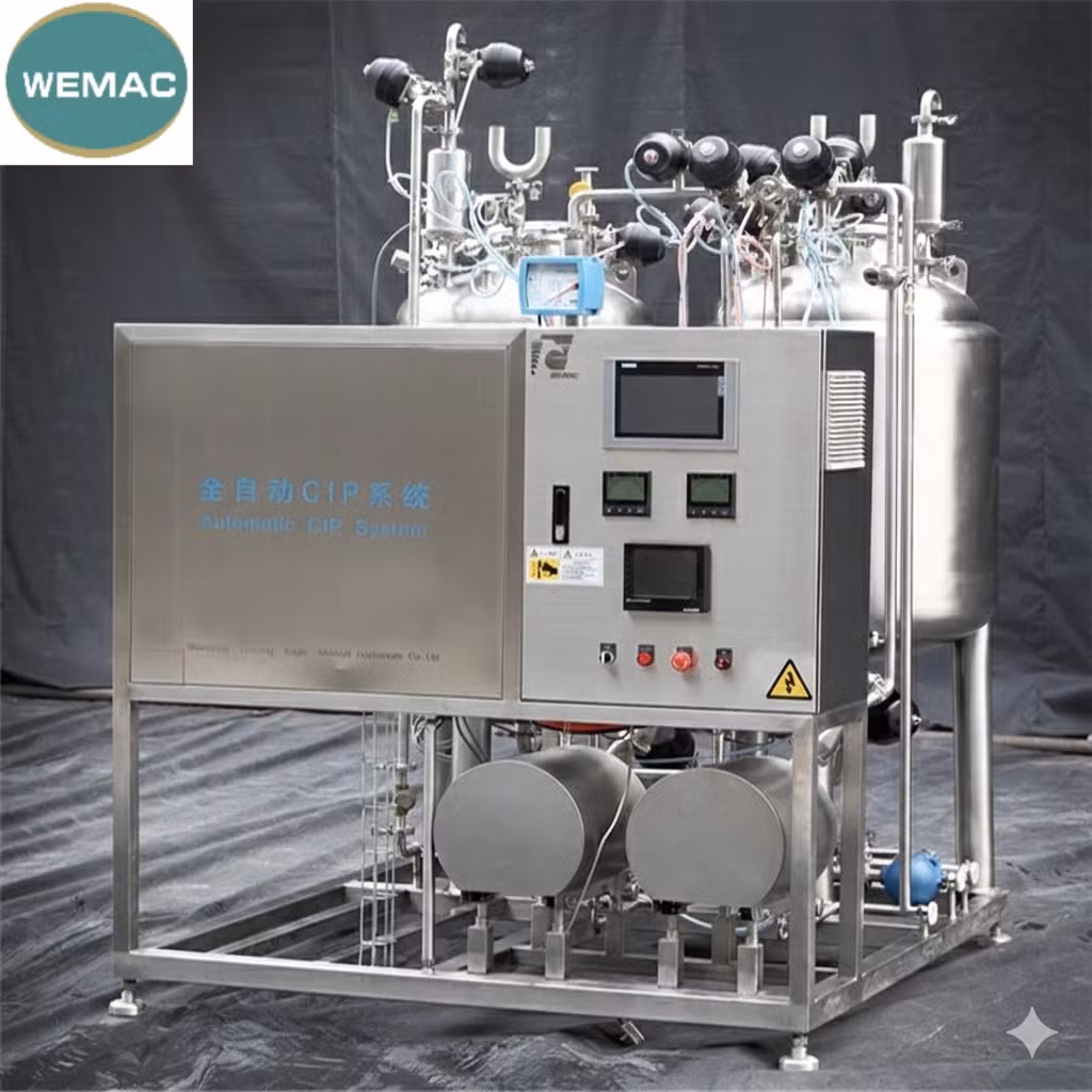 Wemac Reverse Osmosis Pure Water CIP System Shandong Weifang