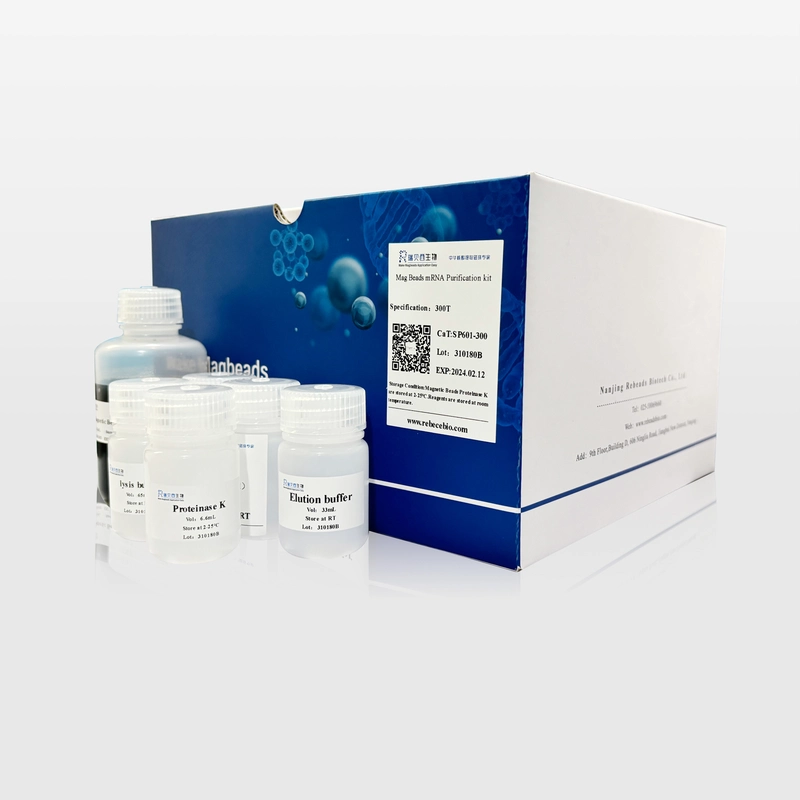 Mag Beads mRNA Purification Kit For Cloning and Sequence