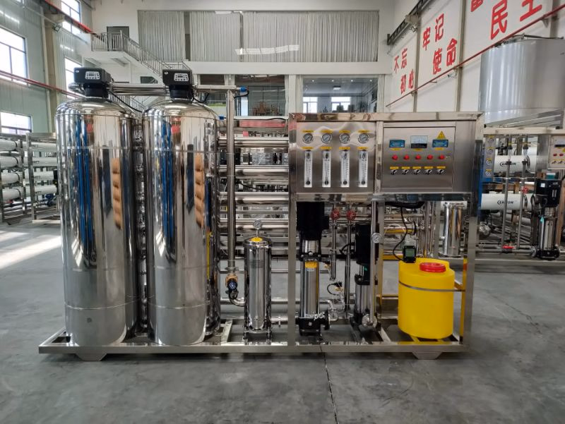 1000lph Dual Stage Stainless Steel Industrial Beverage Plant Water Purification RO System