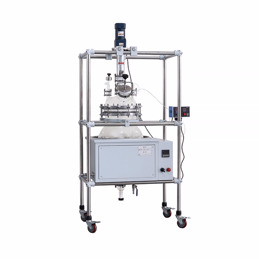CE Certificated Pilot Scale 50L Jacketed Glass Bioreactor