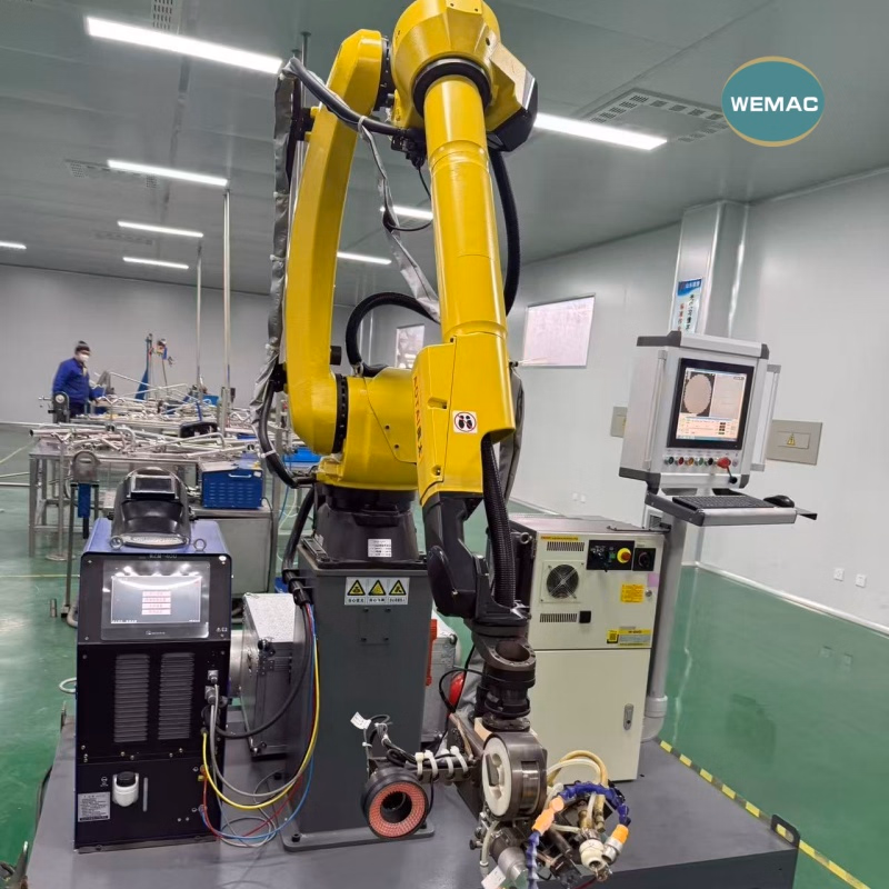 Wfi System with Automatic Welding SS316L Customized Pipeline Solution