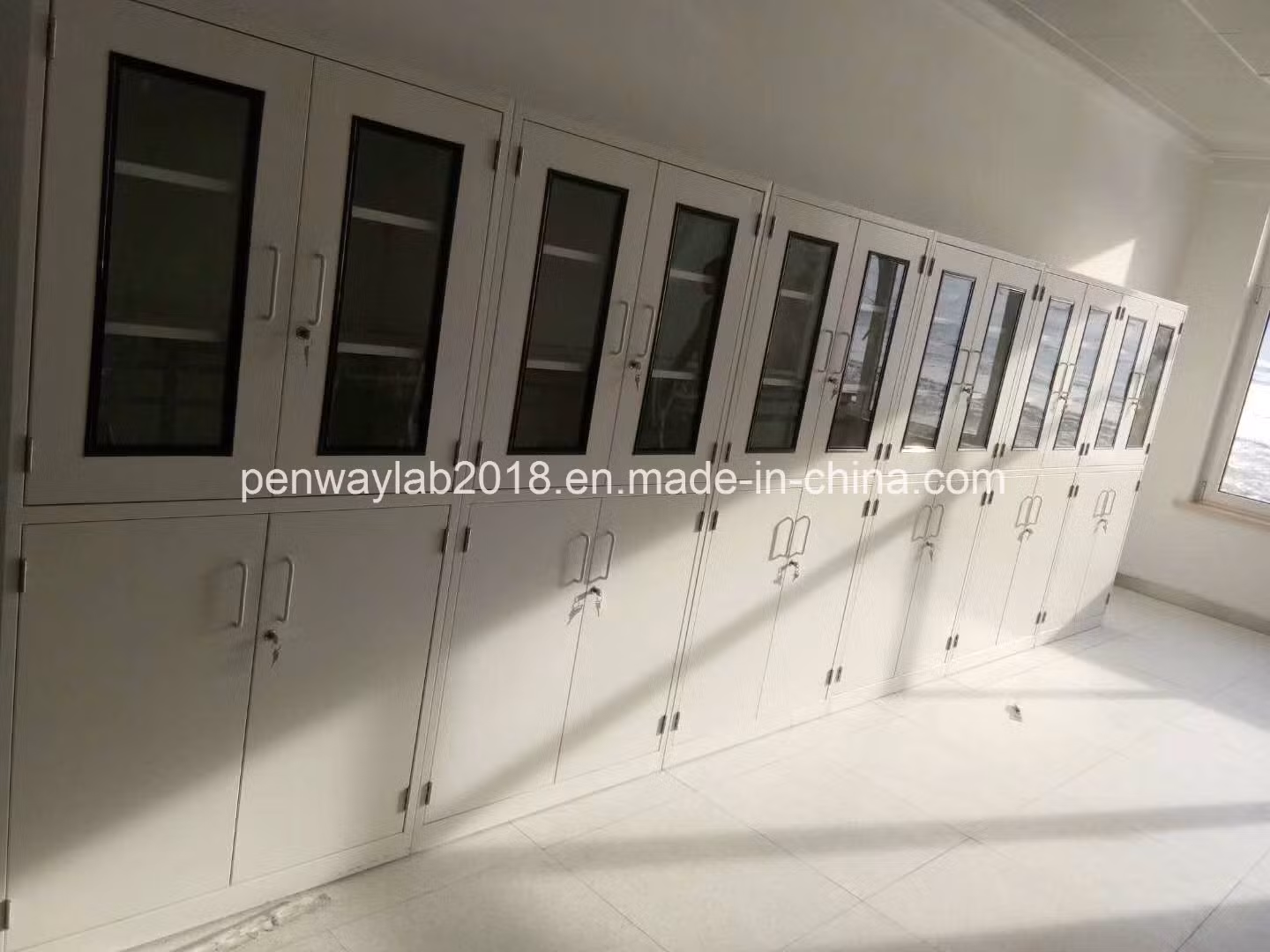 High School Lab Cabinets for Chemical and Reagent Storage