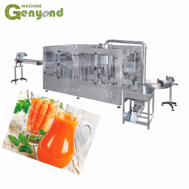 Carrot Juice Line From Shanghai Factory