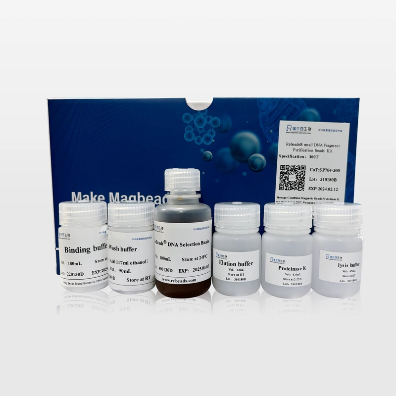 Rebeads DNA Extraction Beads DNA Selection Beads ISO9001 Certified