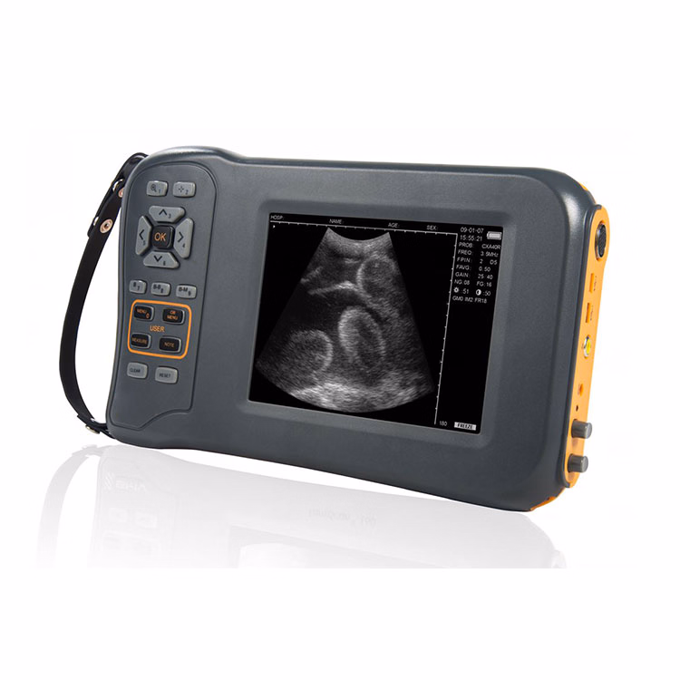 My-A015D Medical Equipment Portable Scanner Veterinary Ultrasound Machine