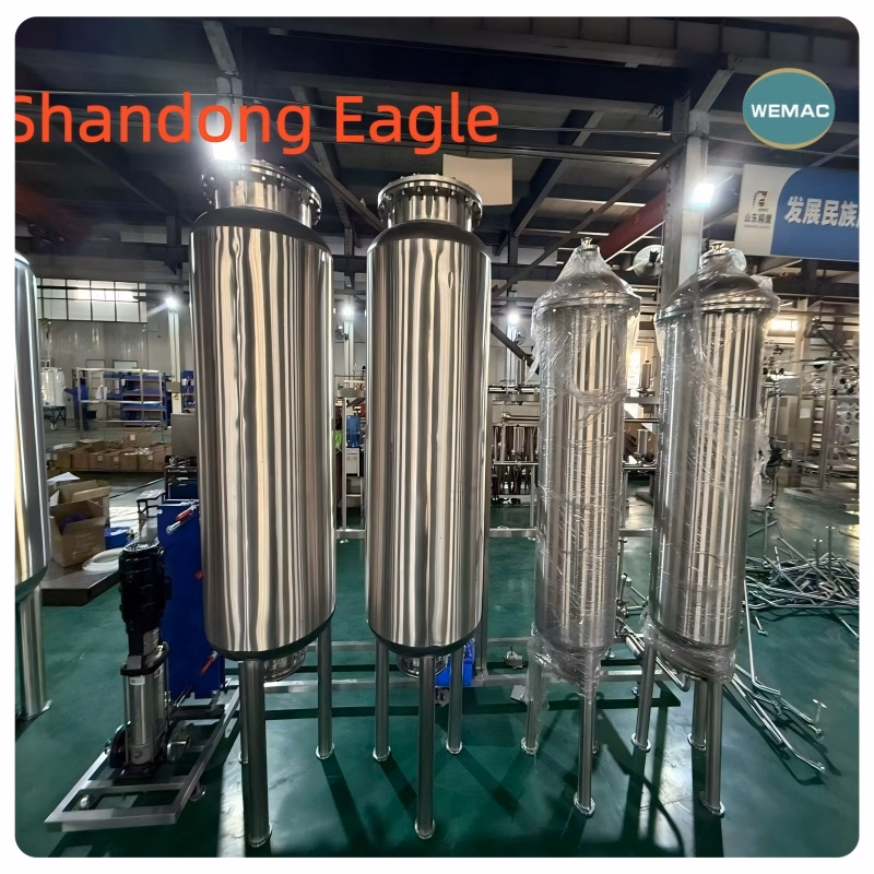 Wemac Sterile Wood Packing Weifang Pw / Wfi System Tanks