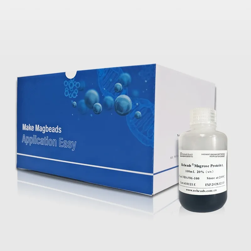Rebeads Magrose Protein L Magnetic Beads With High Product Stability