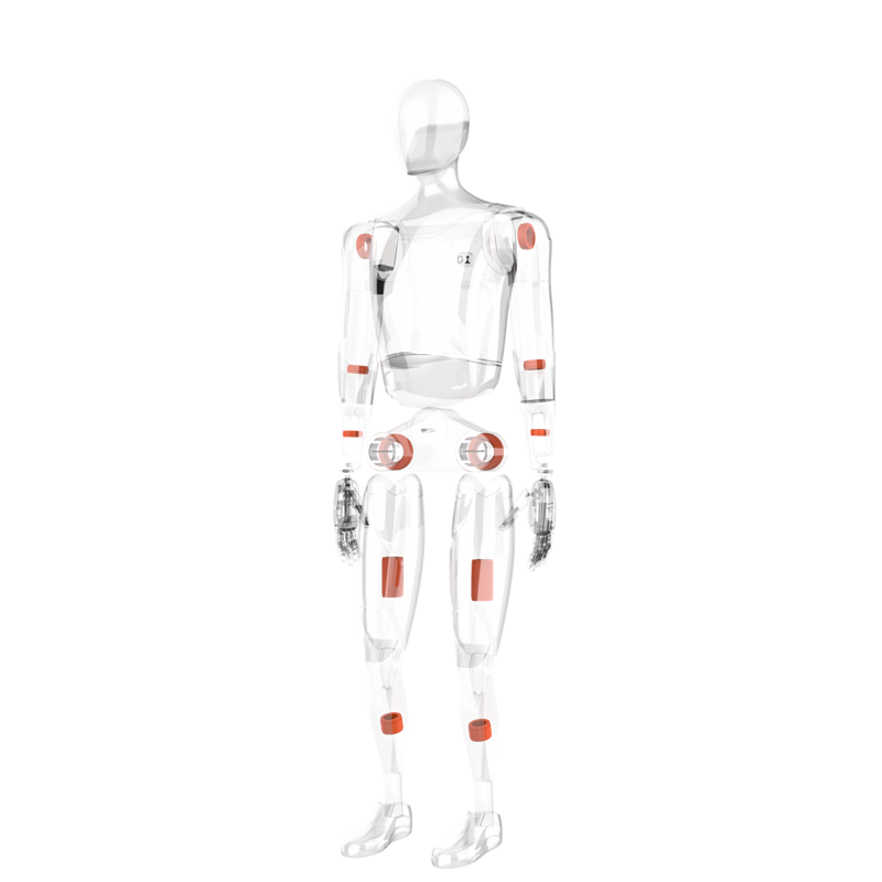 Frameless motor for robot joint modules