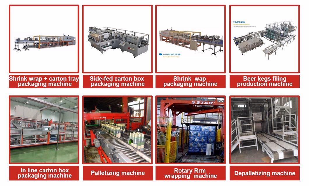 Robotic Case Palletizing Depalletizing Machine for Cases, Trays, Bags, Containers
