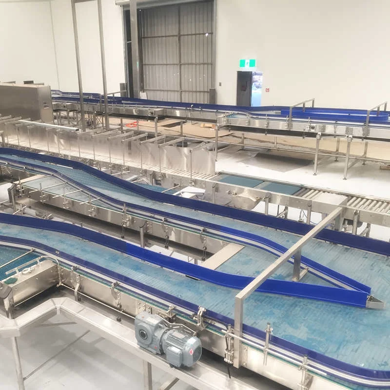 Water filling production line bottle buffering conveyor system - Bottling Line, Canning Line and Packaging Machines Manufacturer-Festa Machine