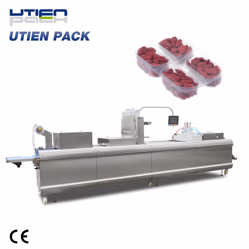Dry Fruit Automatic Thermoforming Vacuum Map Packaging Machine