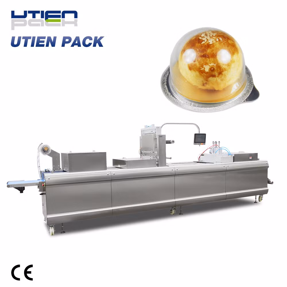 Fast Food Thermoforming Rigid Film Map Packaging Machine for Sandwich/ Bread/Cake